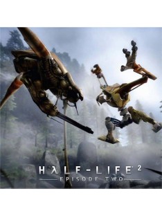 Half-Life 2 - Steam Key